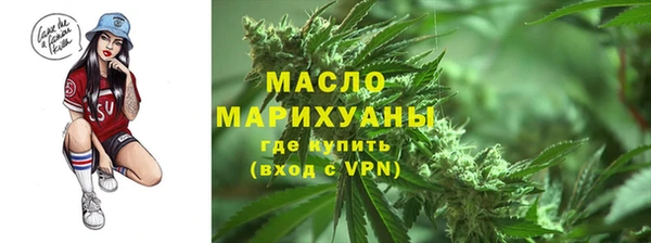 твердый Заводоуковск