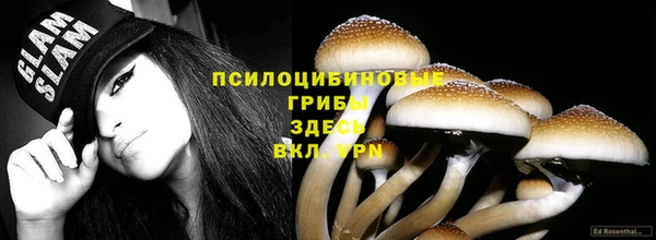 твердый Заводоуковск