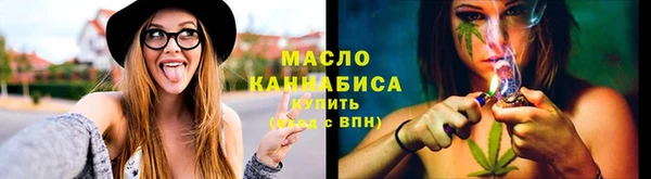 твердый Заводоуковск