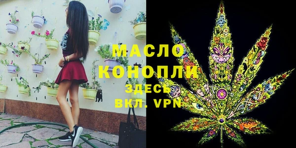 твердый Заводоуковск