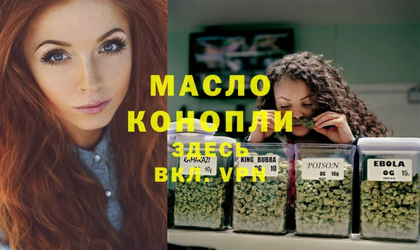 твердый Заводоуковск