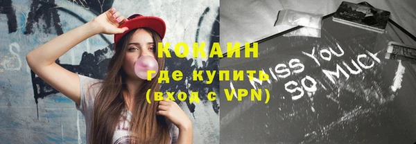 твердый Заводоуковск