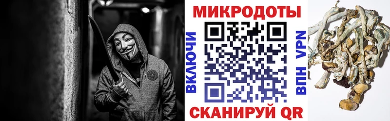 Галлюциногенные грибы мухоморы  Купить где  Пустошка 